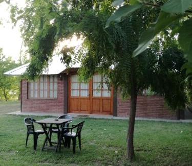 Rama Caída Chalet De Esquí | Tardecitas del Atuel