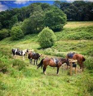 Tarr Steps Hotel | Tarr Farm Inn