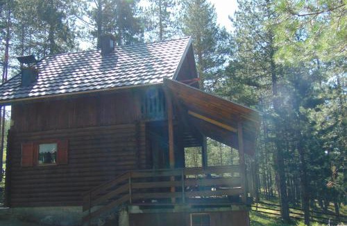 Konjska Reka Cabina | Tarski dom