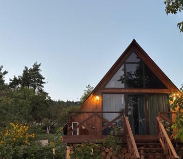 Tsalka Chalet De Esquí | Tasia's Cottage