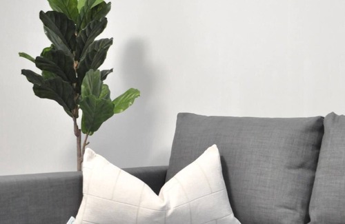 Lynn Valley Casa | Tastefully Furnished Newly Updated 2 BD Central Lynn Valley North Vancouver