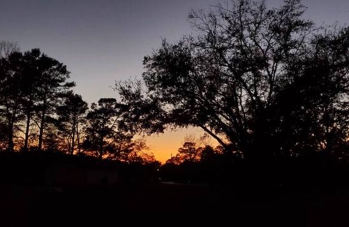 Lecanto Casa | Taste of Tiny Living in Pet Friendly Paradise