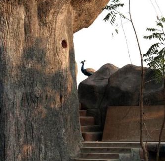 Avarghani Complejo | Tathastu Pench