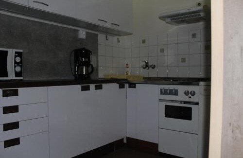 Tauplitz Apartamento | Tauplitz Apartment