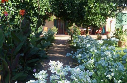 Lake Bracciano Cama Y Desayuno | Tavernamici