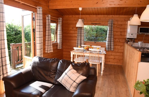 Rhayader Cabaña | TAWNY OWL LODGE, pet friendly, with hot tub in Rhayader