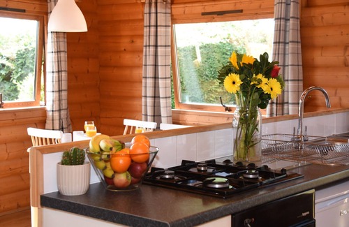 Rhayader Cabaña | TAWNY OWL LODGE, pet friendly, with hot tub in Rhayader