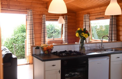 Rhayader Cabaña | TAWNY OWL LODGE, pet friendly, with hot tub in Rhayader