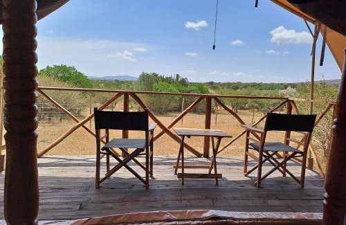 Maasai Mara Otro | Tayari Luxury Tented Camp - Mara