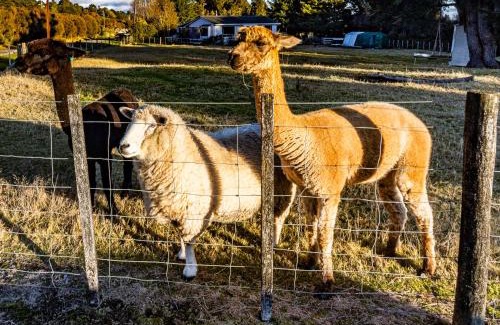Erua Casa | Taylor Lodge Adventure Base - Erua Holiday Home