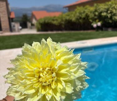 Collado Villa | TAYP OrigenHomes