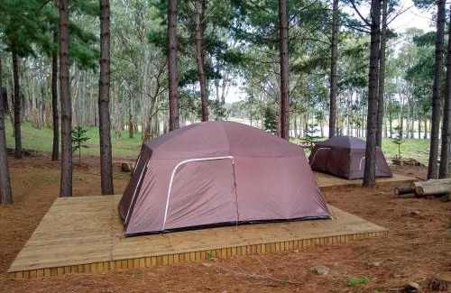 Sao Francisco de Paula Otro | Tedesco Eco Park