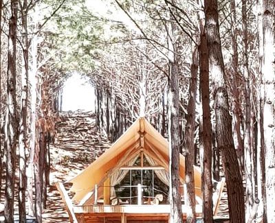 Sao Francisco de Paula Otro | Tedesco Eco Park