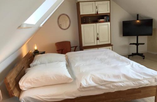 Zentrum Apartamento | Teestuuv