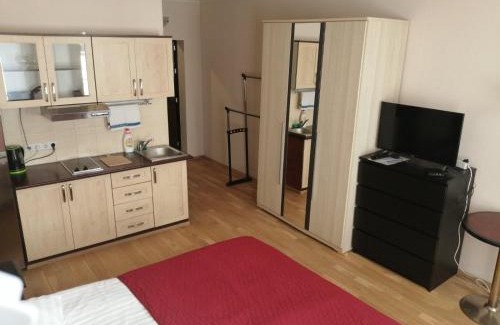 Pelgulinn Apartamento | Telliskivi Apartment
