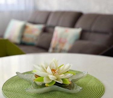 Siofok Aranypart Apartamento | TemOro Apartman Green