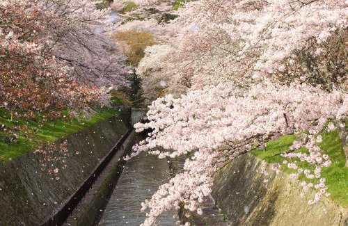Otsu Casa | Temple-stay WAQOO Mii-dera