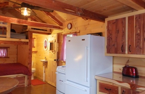 Whiteside Cabina | Tennessee River Gorge Island Cabins® # 2 "Amish Built" ¡Quédese 3 noches gratis!