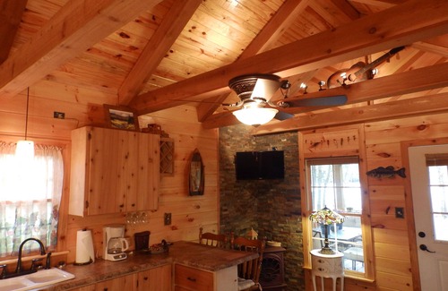 Whiteside Cabina | Tennessee River Gorge Island Cabin® a 15 millas de Chatt. Quédate 3 noches 4º gratis!