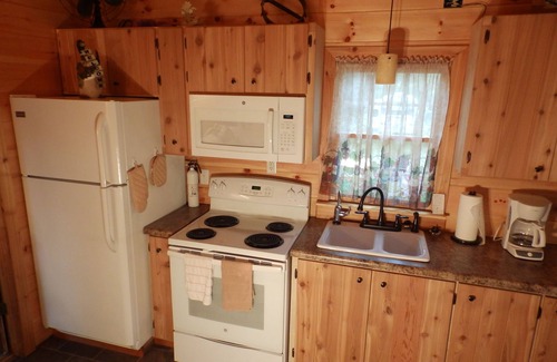Whiteside Cabina | Tennessee River Gorge Island Cabin® a 15 millas de Chatt. Quédate 3 noches 4º gratis!
