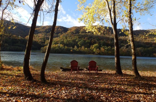 Whiteside Cabina | Tennessee River Gorge Island Cabin® a 15 millas de Chatt. Quédate 3 noches 4º gratis!