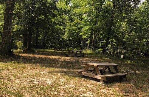 Vernon Alquiler De RV | Tent camp directly on the water