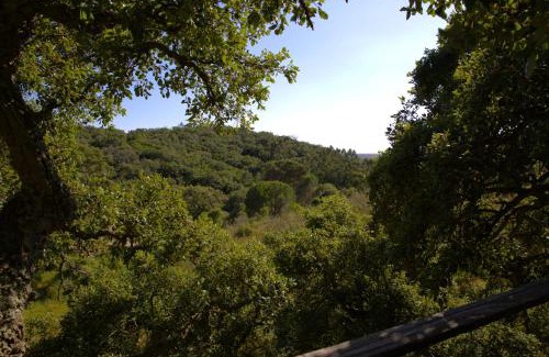 Sao Luis Otro | Tent in a Regenerative farm