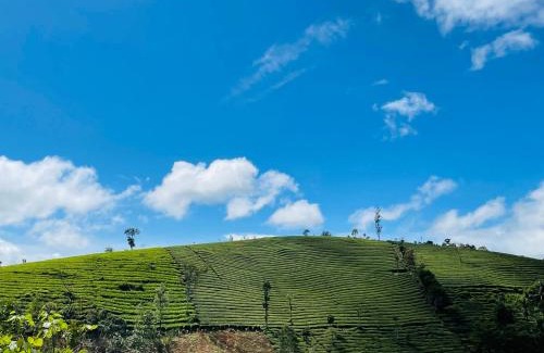 Elappara Otro | TENT LIFE