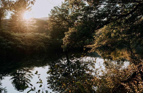 Ellenville Otro | Tentrr - Forest with a Trout Creek