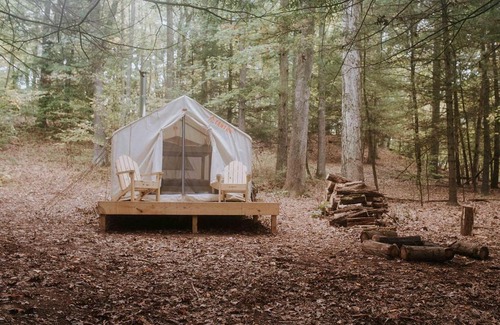Ellenville Otro | Tentrr - Forest with a Trout Creek
