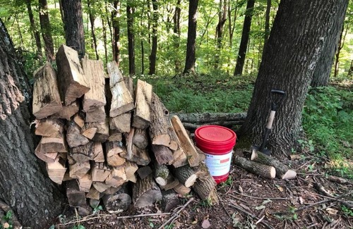 Ottsville Otro | Tentrr - Nockamixon Forest Camp