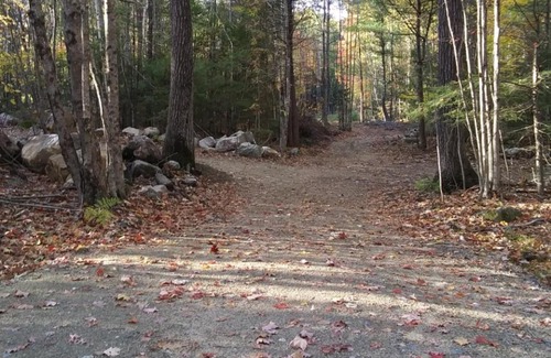 Hollis Center Otro | Tentrr Signature Site - Deerwander Camp B