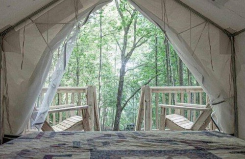 Gatlinburg - Pigeon Forge Alquiler De RV | Tentrr Signature Site - Happy Hollow Hideaway Glade site