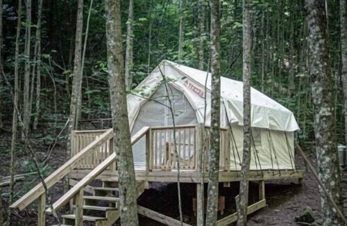 Gatlinburg - Pigeon Forge Alquiler De RV | Tentrr Signature Site - Happy Hollow Hideaway Glade site