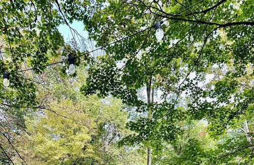Clarksville Alquiler De RV | Tentrr Signature Site - Lost in the Woods