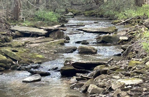 Soddy-Daisy Alquiler De RV | Tentrr Signature Site - Terry's Island