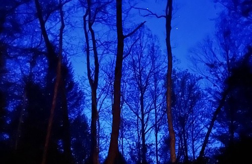 Soddy-Daisy Alquiler De RV | Tentrr Signature Site - The Old Woodyard