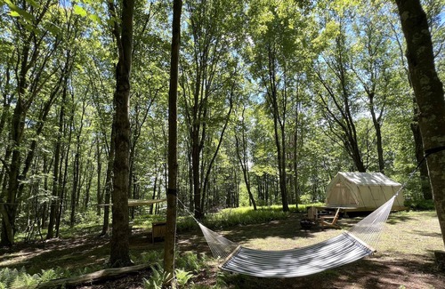 Ellenville Alquiler De RV | Tentrr Signature Site - Pangri-La