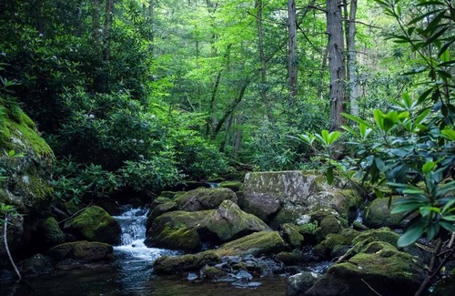 Jim Thorpe Alquiler De RV | Cozy Creekside Camp cerca del histórico pueblo minero de PA