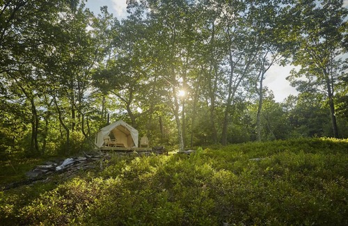 Kerhonkson Alquiler De RV | Tentrr - Osa Trail - Camping de un dormitorio, para 4 personas