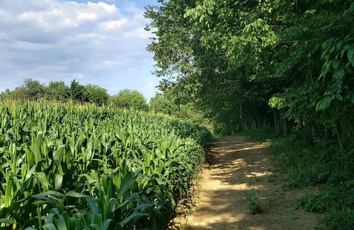Litchfield Alquiler De RV | Tentrr - Meadow Ridge Farm Woods