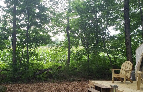 Litchfield Alquiler De RV | Tentrr - Meadow Ridge Farm Woods