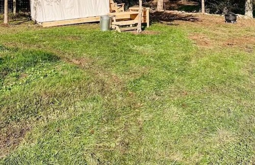 Mattawana Alquiler De RV | Tentrr Signature Site - Piney Pond Retreat at Tuckaway Tree Farm