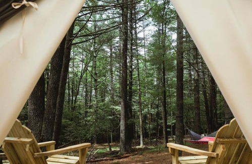 Mount Marion Alquiler De RV | Tentrr - Camping Highwoods