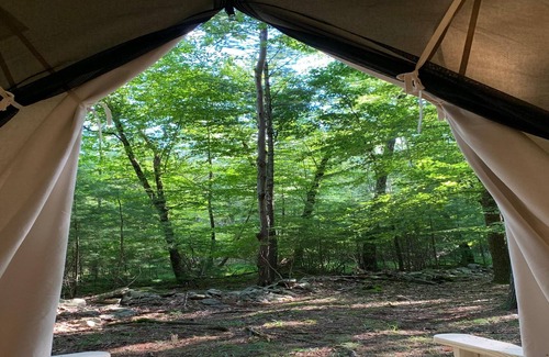 Mount Marion Alquiler De RV | Tentrr Signature Site - Highwoods two