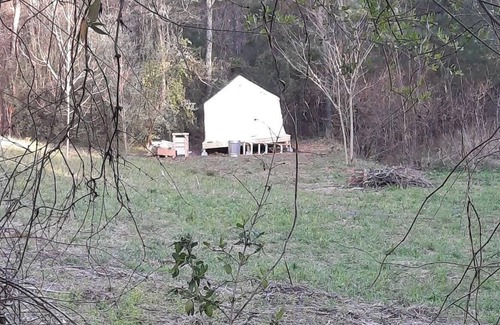 Unaka Alquiler De RV | Tentrr Signature Site - Hiwassee Hideout - Coleman Outfitted Site