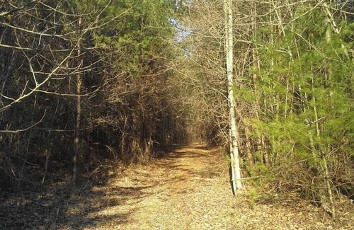 Unaka Alquiler De RV | Tentrr Signature Site - Hiwassee Hideout - Coleman Outfitted Site