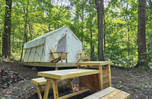 Logan Alquiler De RV | Tentrr Signature Site - Lazy Ferret Glamping - Morel Hill
