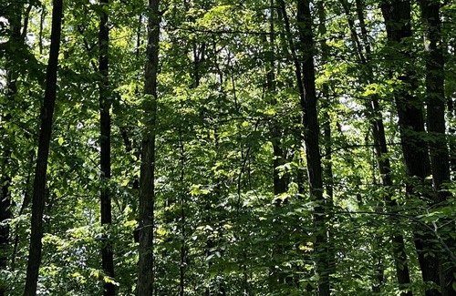 Ithaca Alquiler De RV | Tentrr Signature Site - Orchard and Gorge Tent at South Hill Cider - Site #2