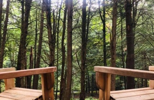 Kauneonga Lake Otro | Tentrr Signature Site-Say Hello 2 Heaven at Tentrr Catskill Retreat-Single Camp